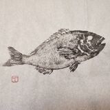 Estampe de poisson, Gyotaku original d'une dorade
