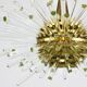 Lustre Bakalowits Miracle Sputnik in brass with crystal glass rods, 1960s