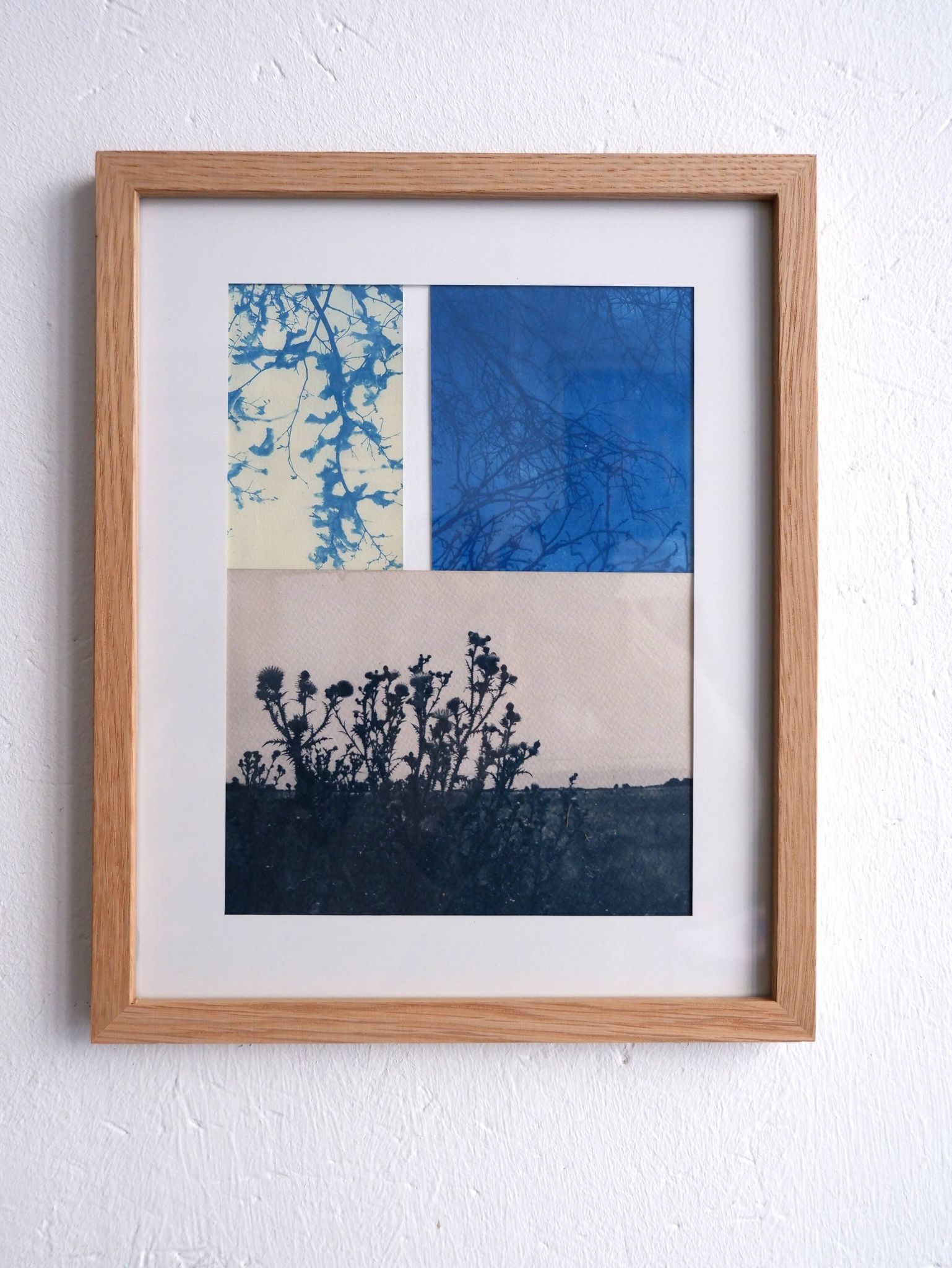 Cyanotype photography Landscape