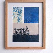 Cyanotype photography Landscape