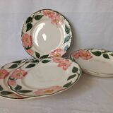Villeroy And Boch Wild Rose Plates