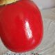 Vase vintage 70's