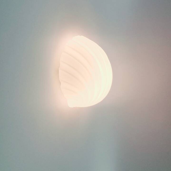 Shell-Shaped Opaline Glass Wall Light/Sconce from Limburg, Germany, 1970s