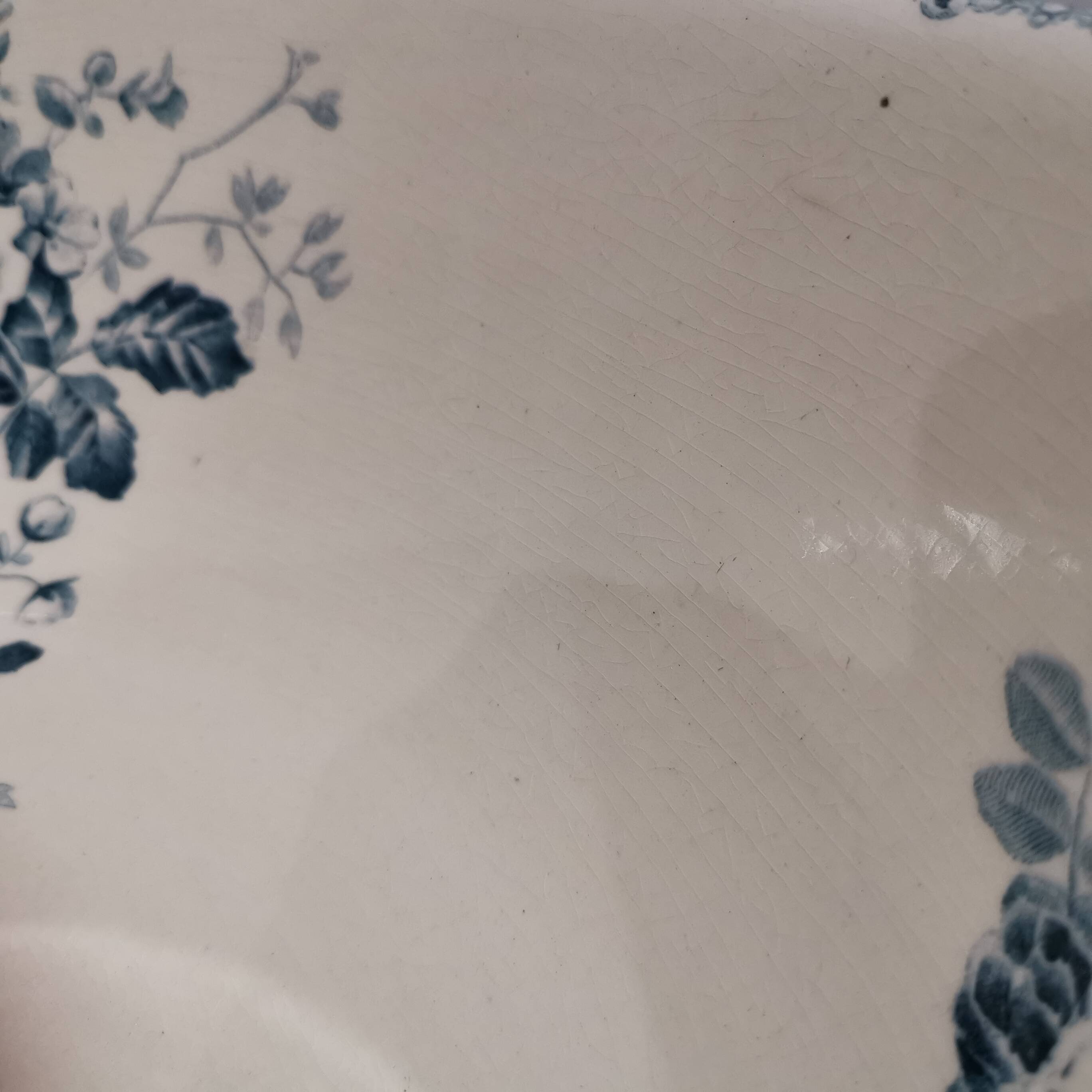 Old dish/ Terre De Fer basin Choisy-le-Roi E. Bourgeois