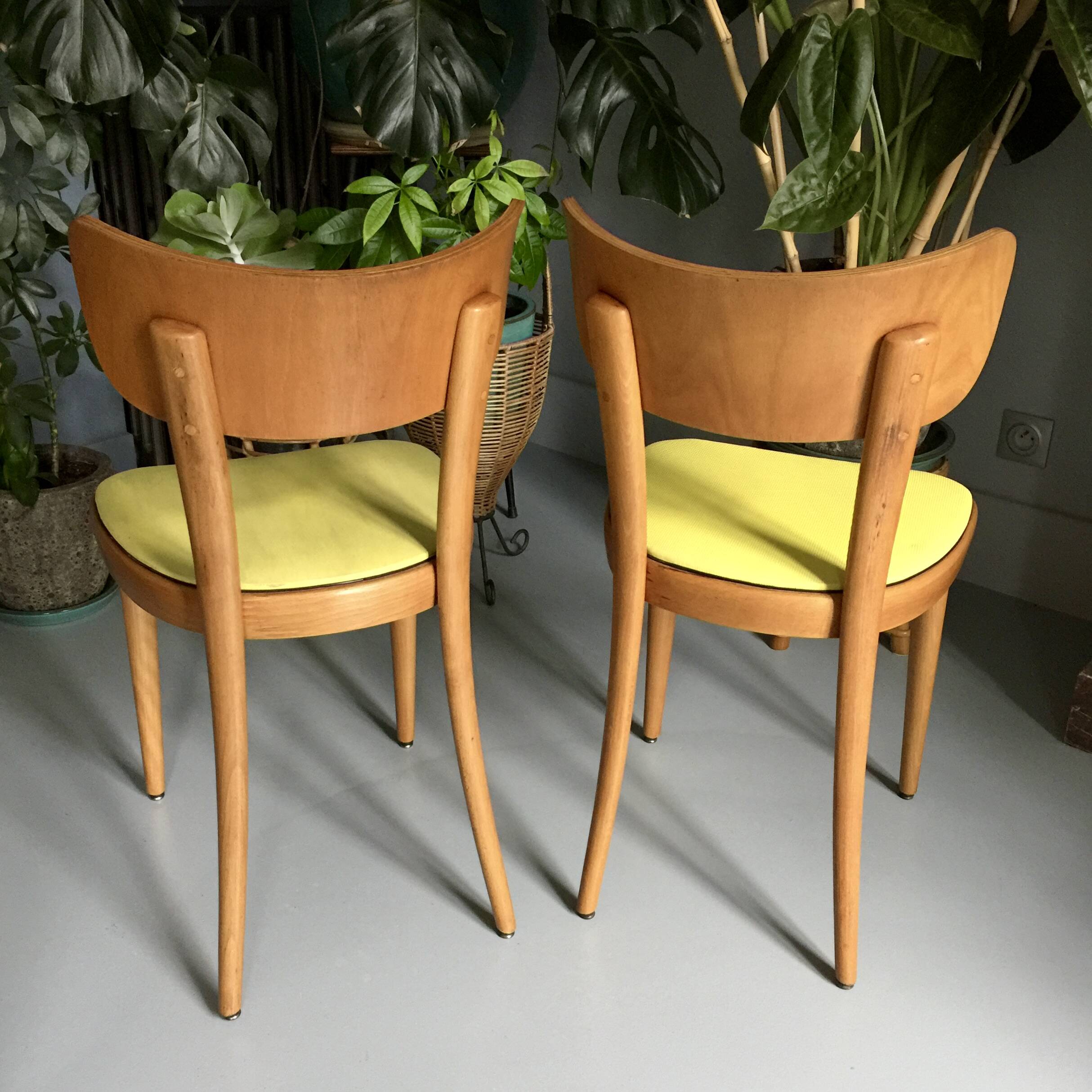 6 yellow and wood Thonet chairs