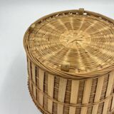 Wicker plant pot