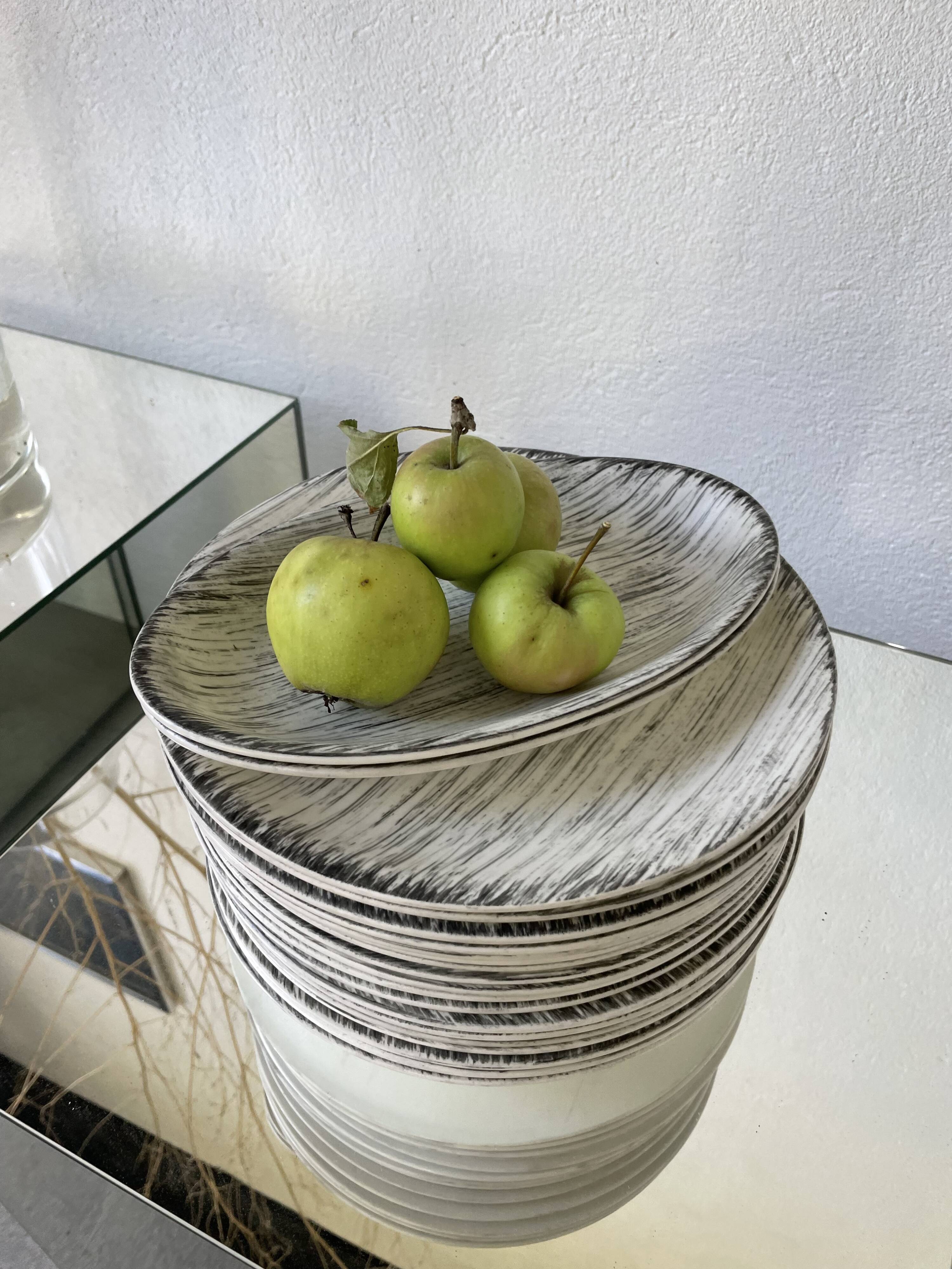 Set of plates and dishes Bazas de Salins 1960