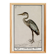 Small poster of the Grey Heron, based on an old engraving from 1610.