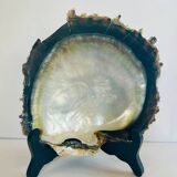 Large mother-of-pearl shell