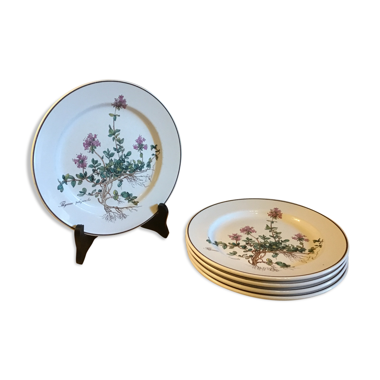 Botanica Villeroy Plates - Boch