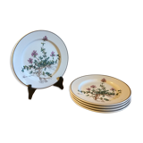 Botanica Villeroy Plates - Boch