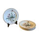 Botanica Villeroy Plates - Boch