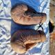Pair of Old Leather Boxing Gloves