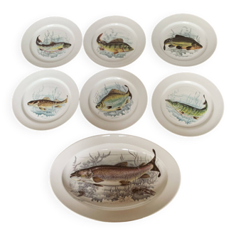 6 plates and 1 fish dish in Limoges porcelain