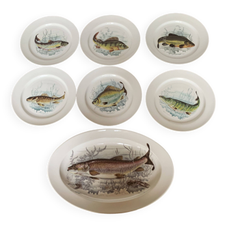 6 assiettes et 1 plat à poisson en porcelaine de Limoges