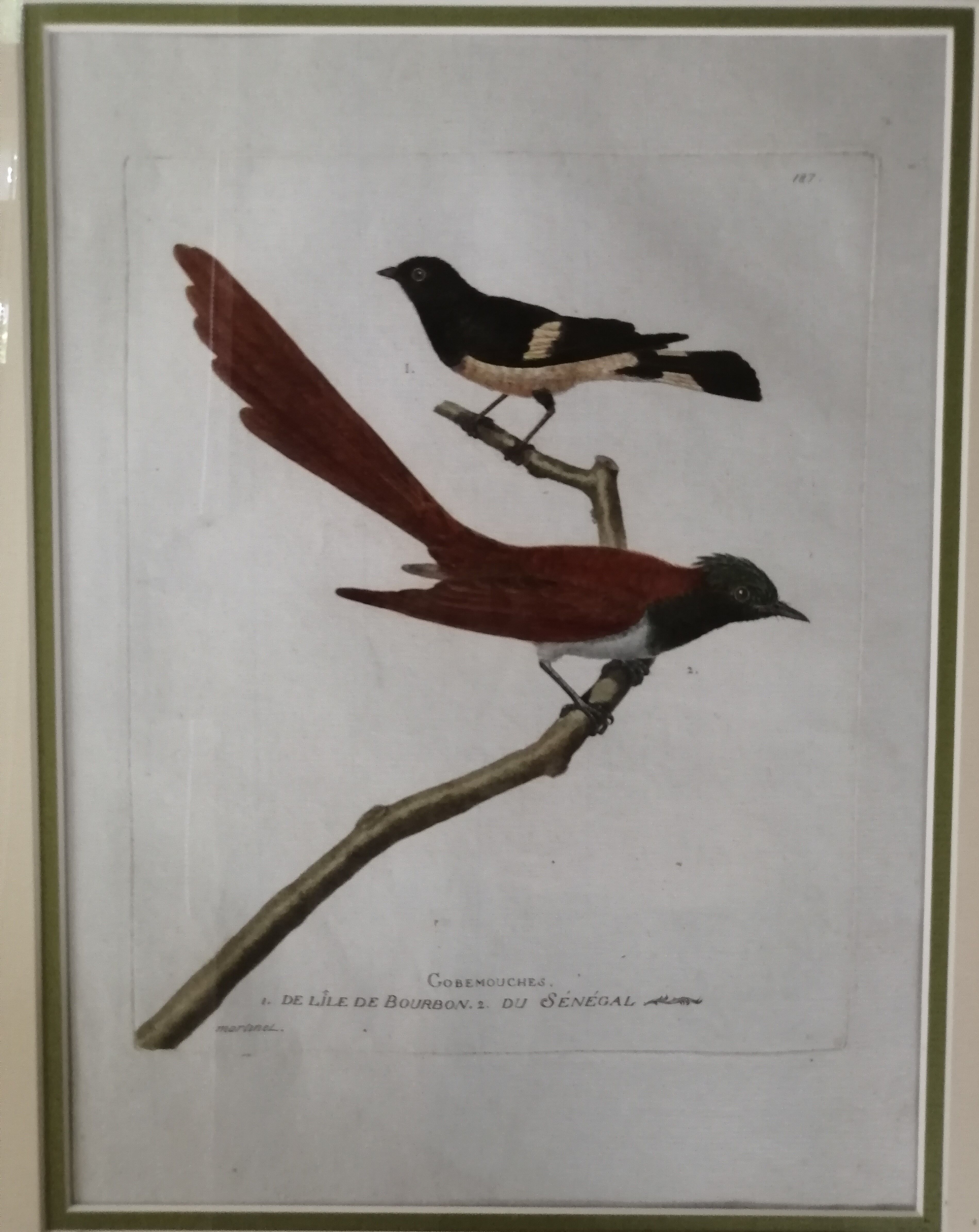 Old framed lithography by Martinet