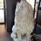 Le roi lion. en pierre 1m30 de haut 90 de long