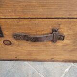 Old trunk