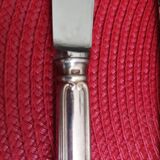 Set of 12 small knives in silver metal and stainless steel from the Ravinet d'Enfer Paris brand