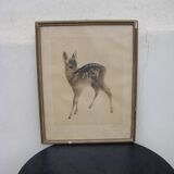 Old Fawn print
