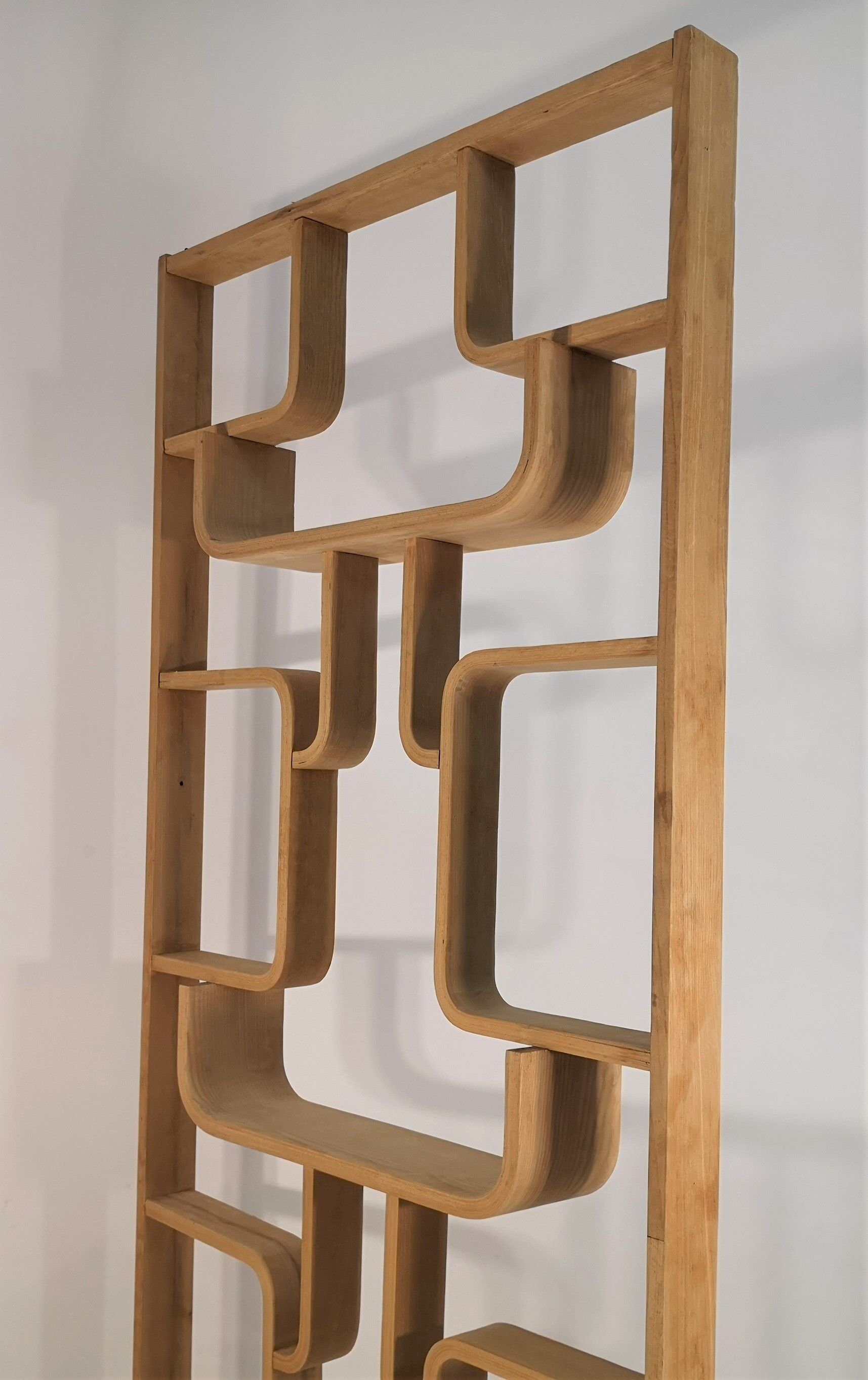 Room Divider designed by Ludvik Volak by Drevopodnik Holesov, 1960s