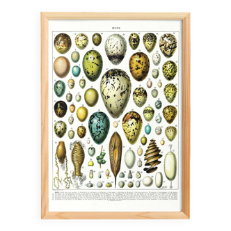 Egg poster, based on a 1928 lithograph