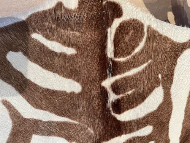 Vintage carpet zebra print cowhide