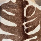 Vintage carpet zebra print cowhide