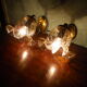 Wall lamps in gilded metal, verrine in the shape of amber glass corollas, 70s