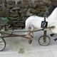 Soviet USSR childs pedal horse car antique vintage childs toy treasure 1950
