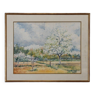 Watercolor by Robert Lange Spring 20th