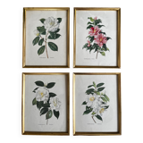 Lot de 4 lithographies par Paul Jones