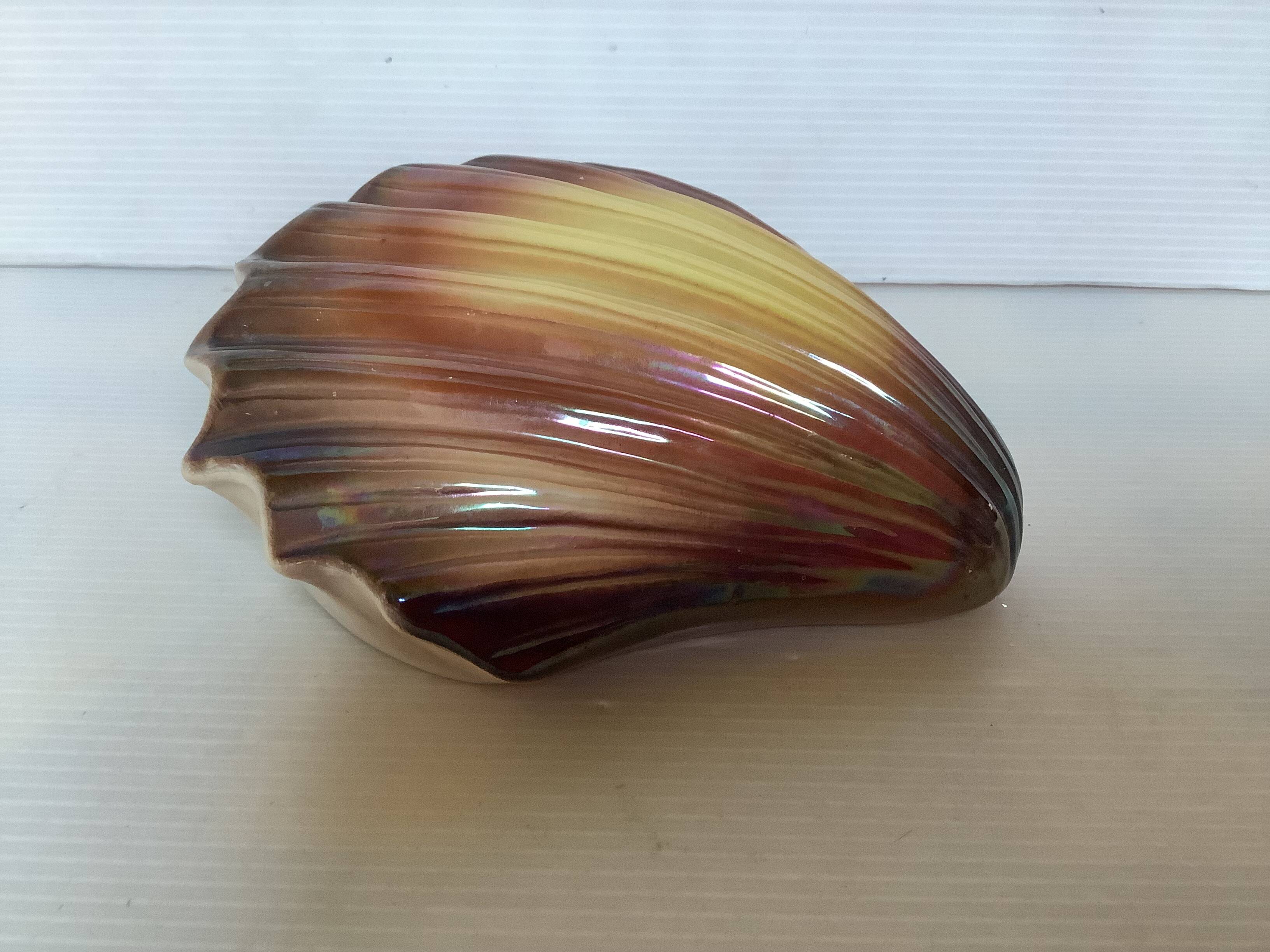 Scallop shell flower vase