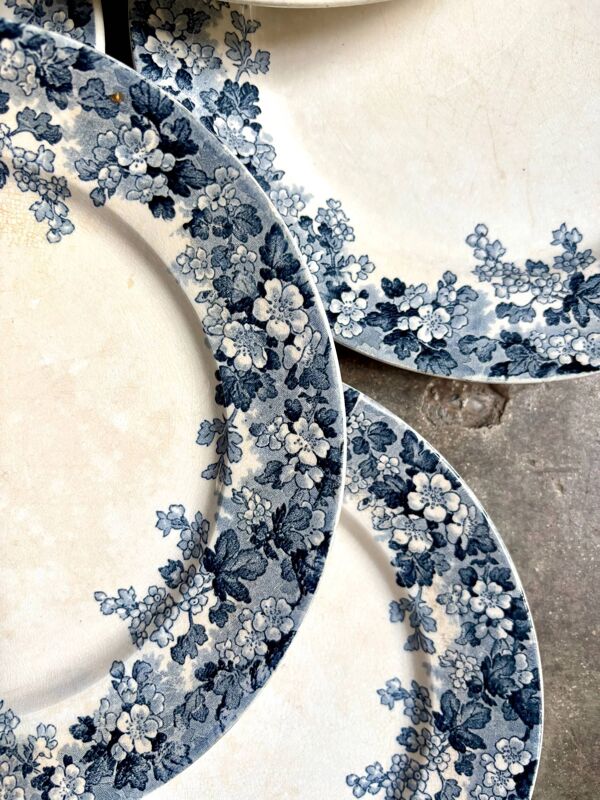 6 assiettes plates Sarreguemines en terre de fer bleue, service ''Récamier