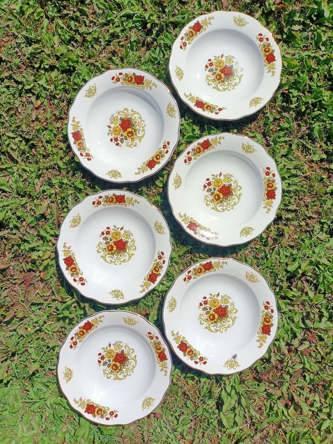 Soup plates x6 Digoin Sarreguemines 💐