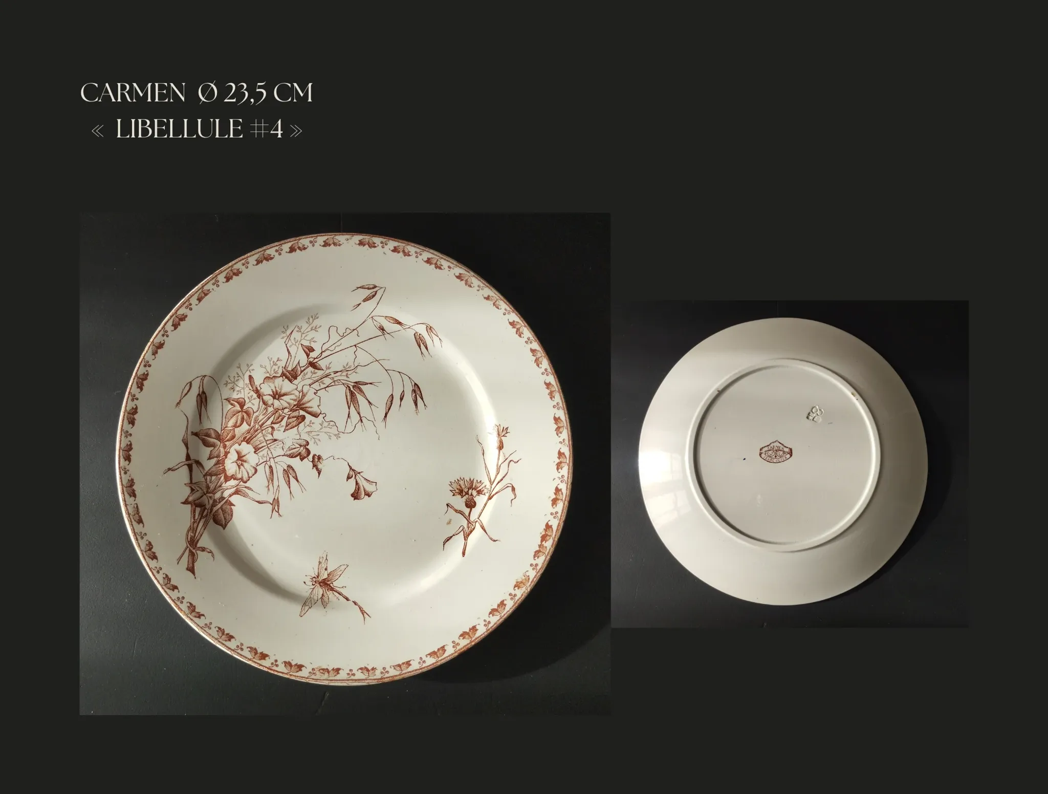 7 flat plates in earthenware from Sarreguemines U&C "Carmen"