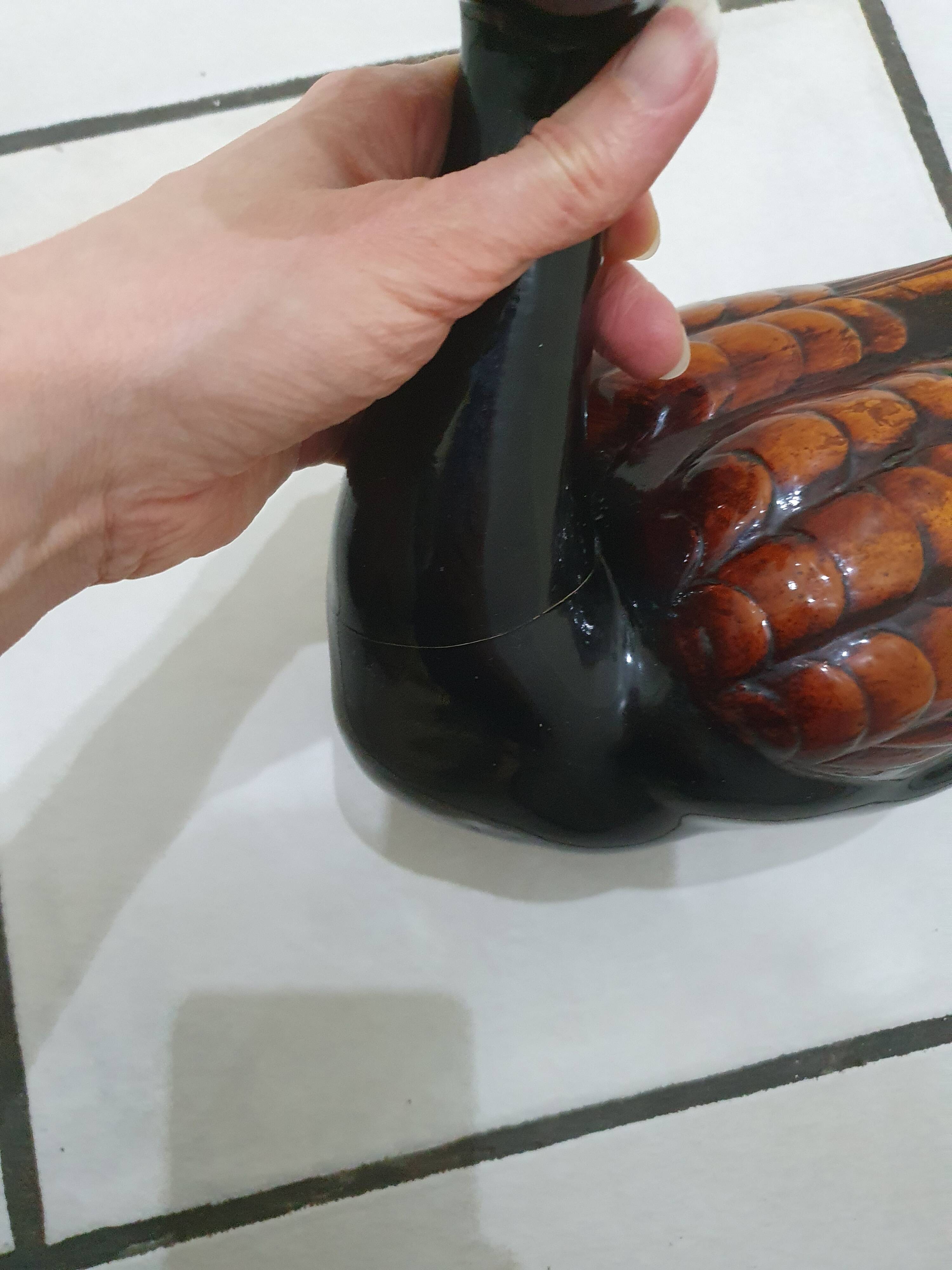 Large brown and black duck