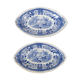 Duo of raviers