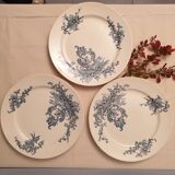 Trio of flat plates Boch brothers