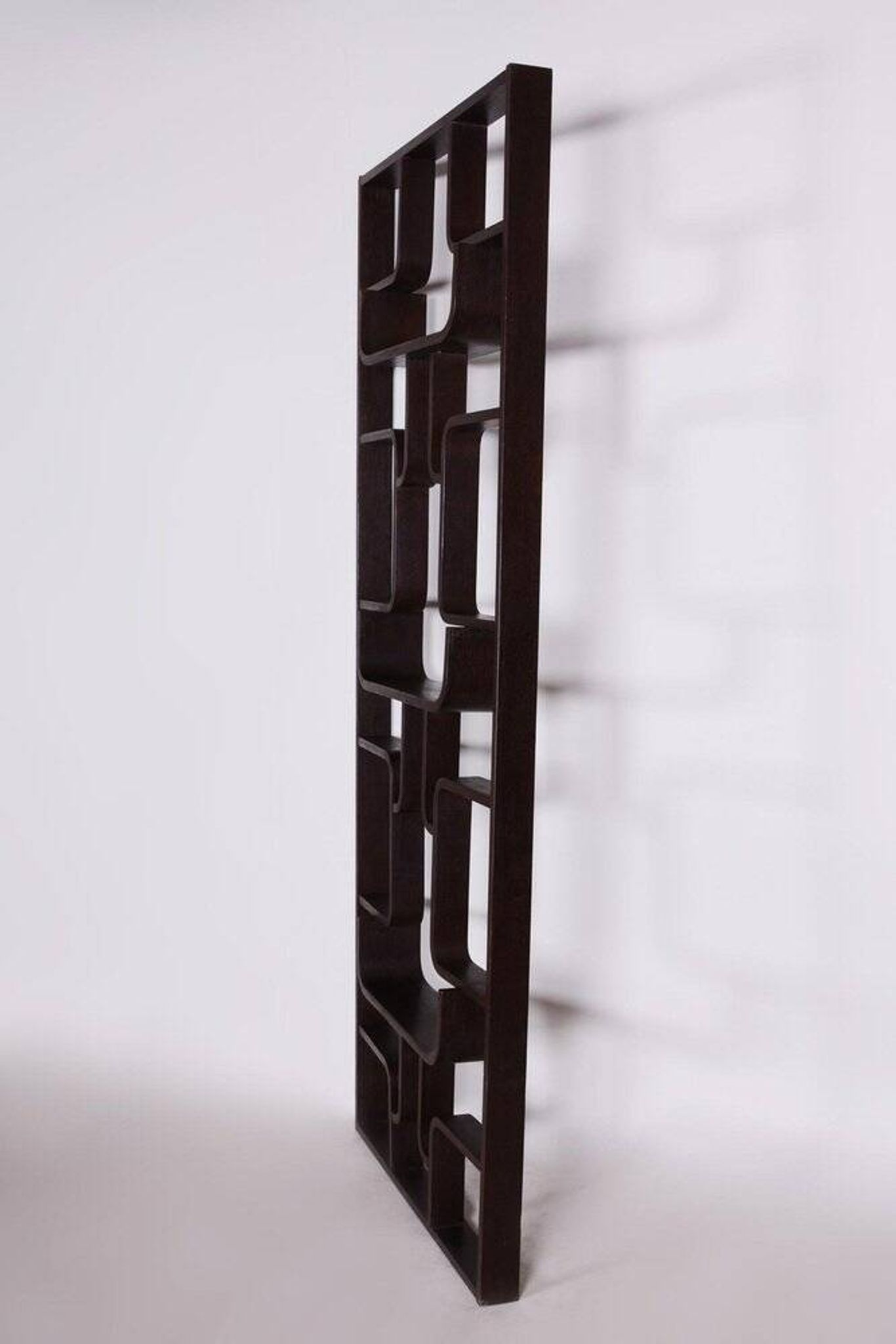 Room Divider by Ludvik Volak for Drevopodnik Holesov, 1960s