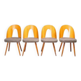 Chaises de salle à manger Antonín Šuman, Tatra Nábytok, Tchécoslovaquie années 1960.