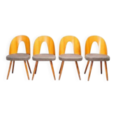 Chaises de salle à manger Antonín Šuman, Tatra Nábytok, Tchécoslovaquie années 1960.