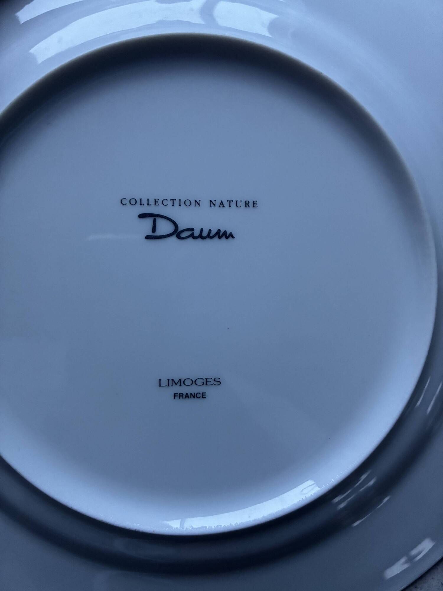 Daum porcelain dessert plates and matching dish