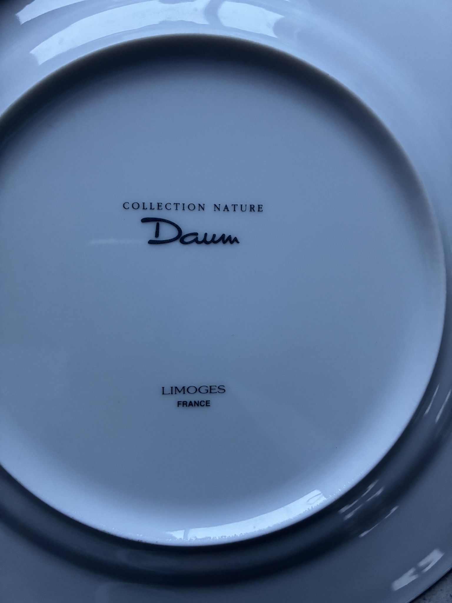 Assiettes à dessert porcelaine Daum et plat assorti