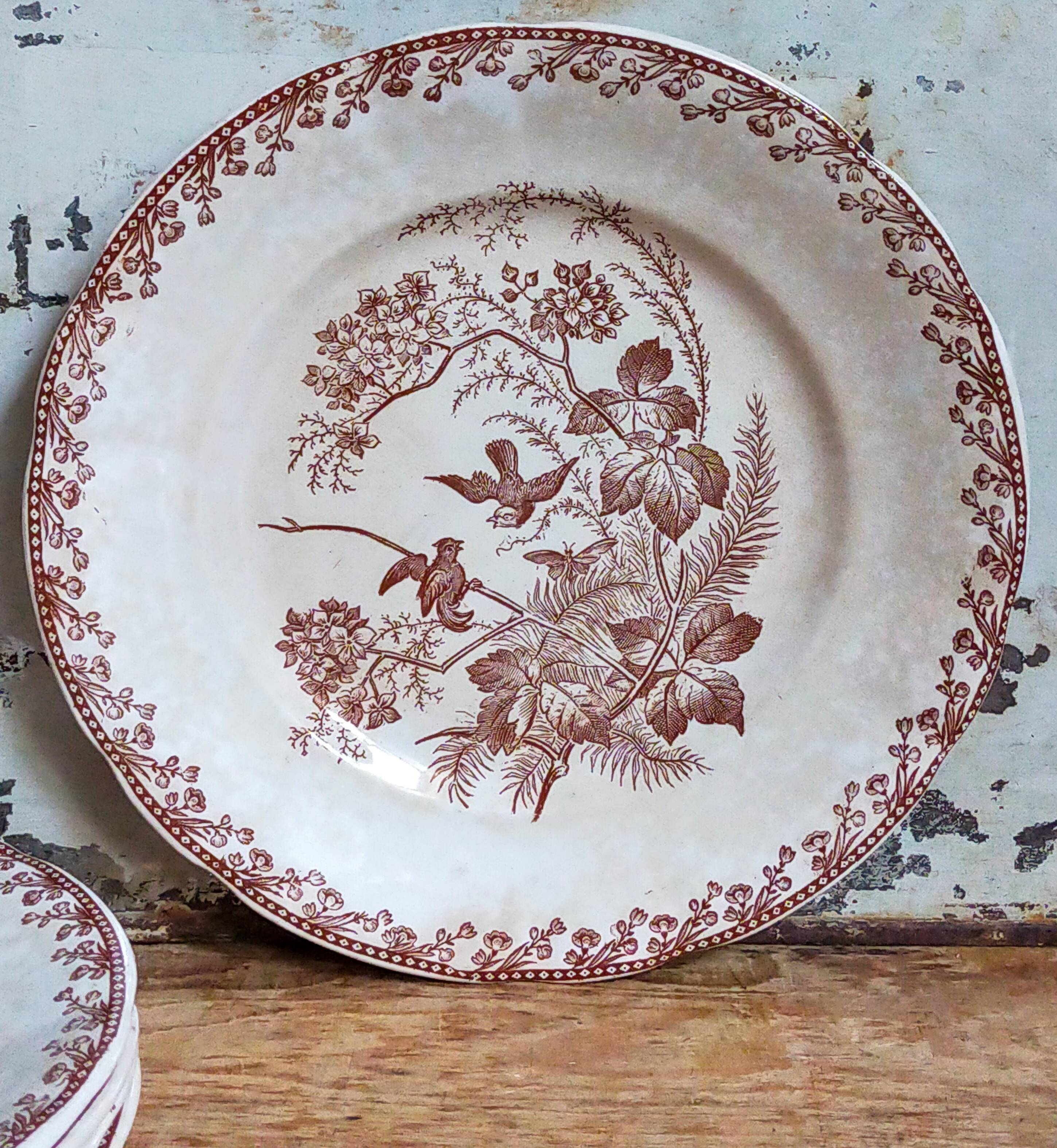 Seven iron earth dessert plates with birds ffPexonne late 19th century