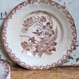 Sept assiettes à dessert terre de fer aux oiseaux f.f.Pexonne fin XIX ème