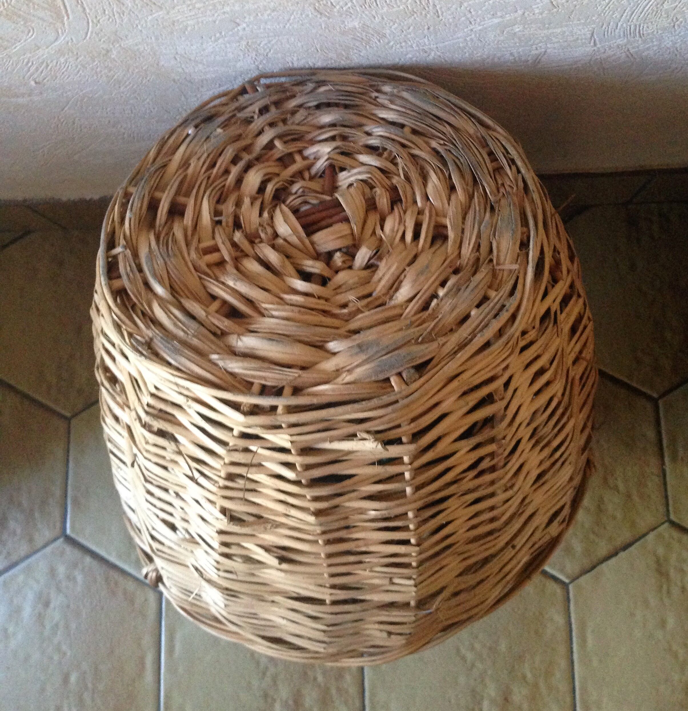 Bottle old demijohn 10L with Wicker of protection