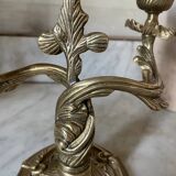 Pair of rocaille candlesticks in gilded bronze