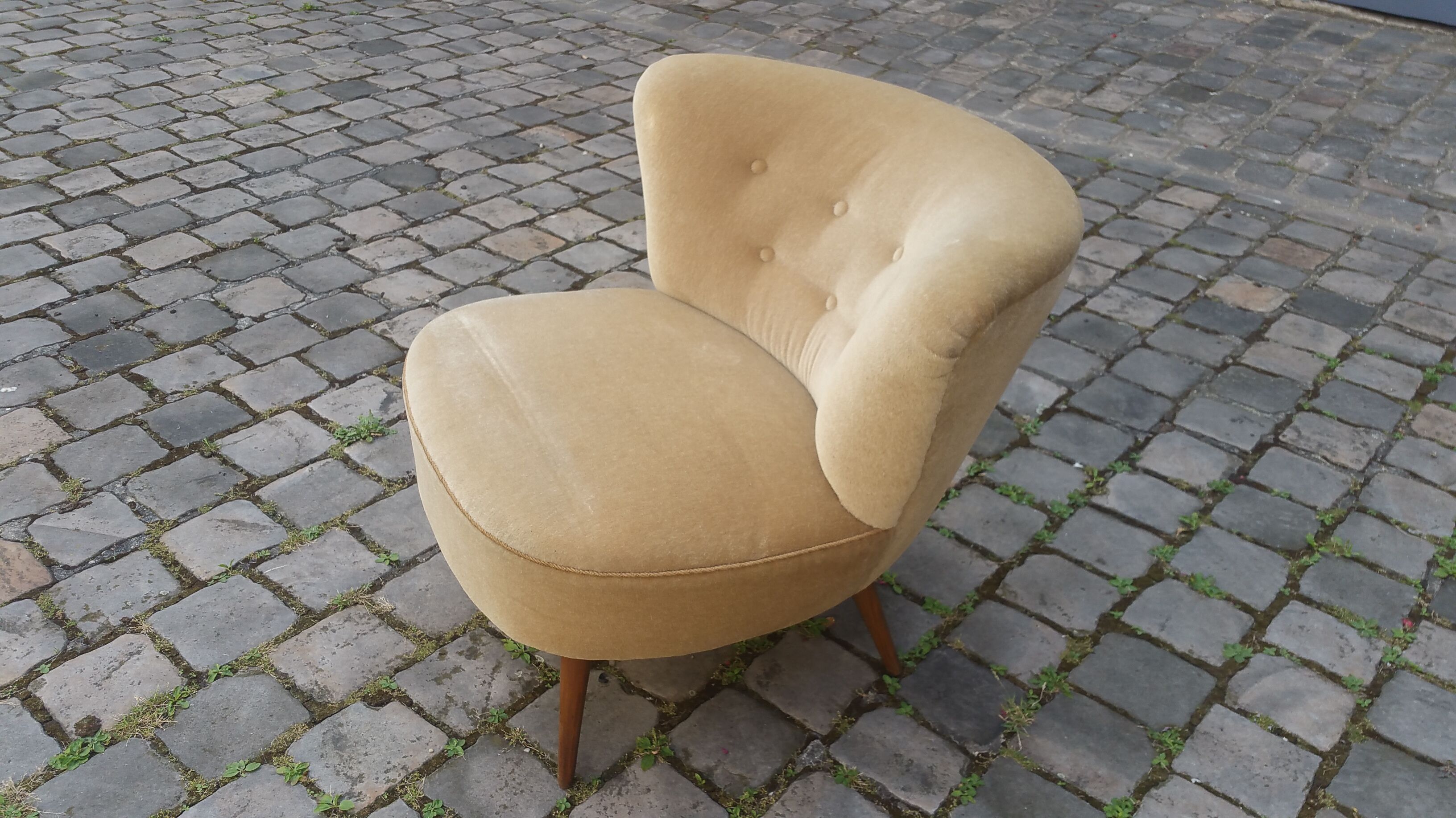 Chair Chair 50s Toad