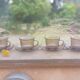 4 smoked glass cups and saucers from Arcoroc 1970